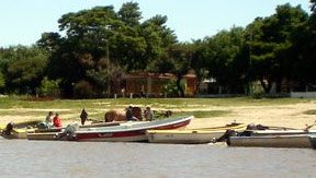 Pesca Deportiva en Arocena