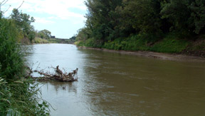 Pesca Deportiva en Oliveros