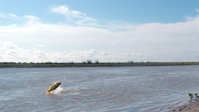 Pesca Deportiva en San Javier