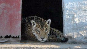 Estacin Zoolgica Experimental de la Ciudad de Santa Fe