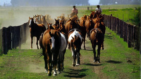 Turismo Rural en Santa Fe